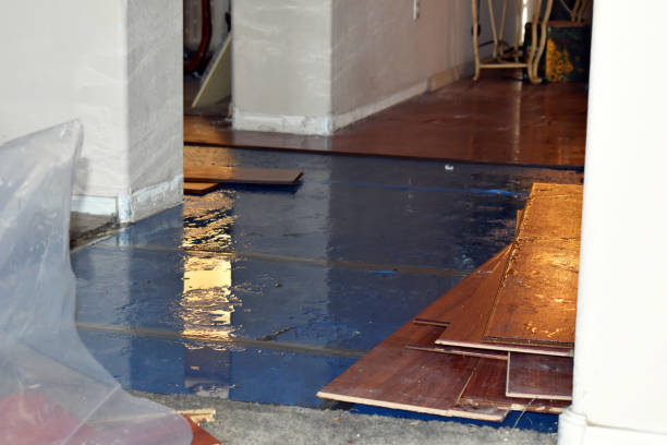Professional Crawl Space Water Removal technician working in Middleton, MA